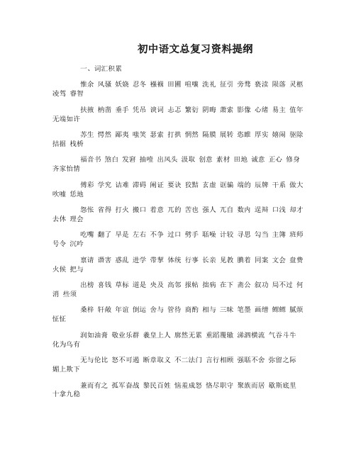 苏教版初中语文总复习资料提纲
