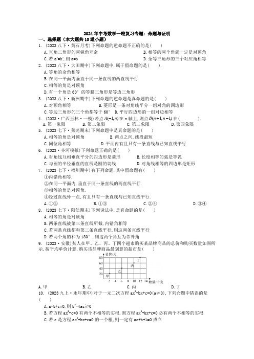 2024年中考数学一轮复习专题：命题与证明