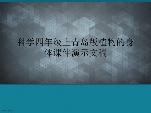 科学四年级上青岛版植物的身体课件演示文稿