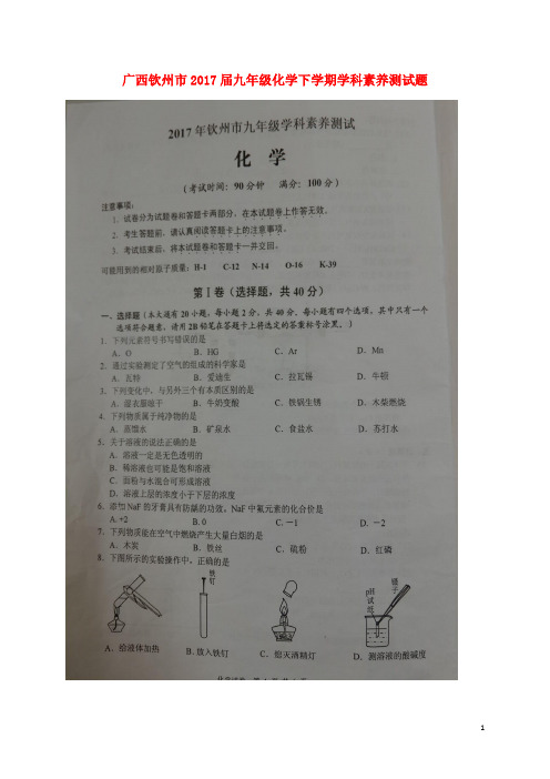 广西钦州市九年级化学下学期学科素养测试题(扫描版)