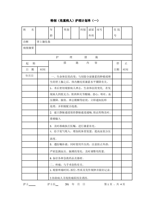 肾上腺危重护理计划单