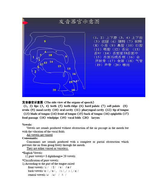 经典英语口语音标