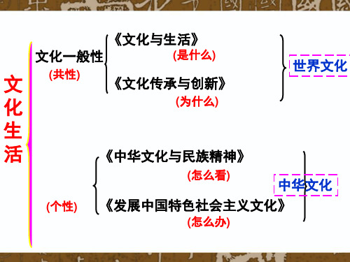 第一课第一框体味文化PPT课件