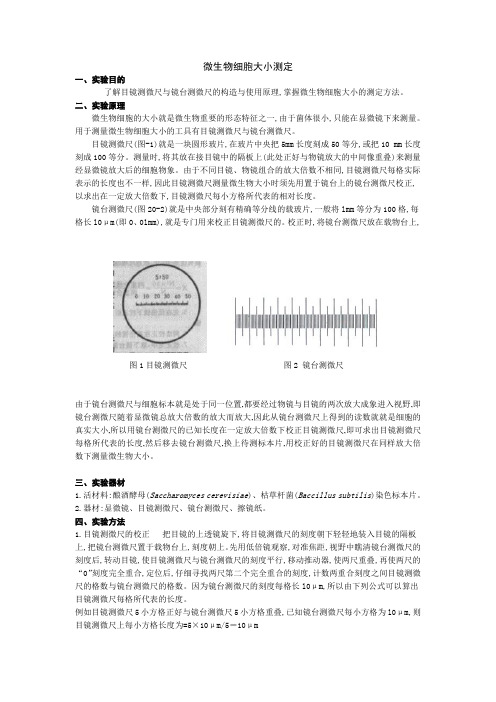 微生物细胞大小的测定方法