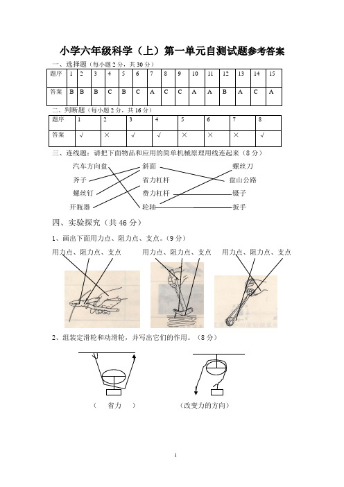 小学六年级科学(上)第一单元自测试题参考答案