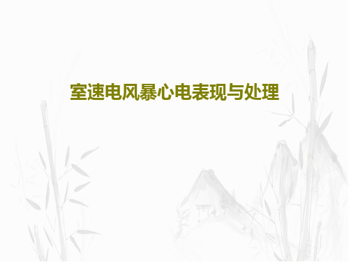 室速电风暴心电表现与处理共28页