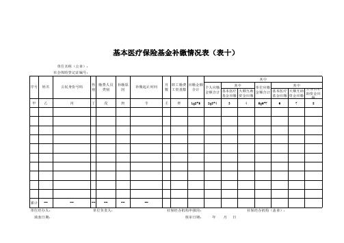 基本医疗保险基金补缴情况表(、表十)