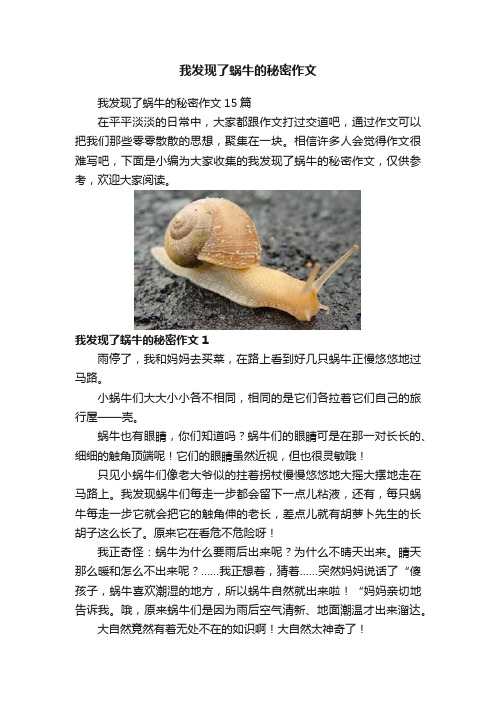 我发现了蜗牛的秘密作文