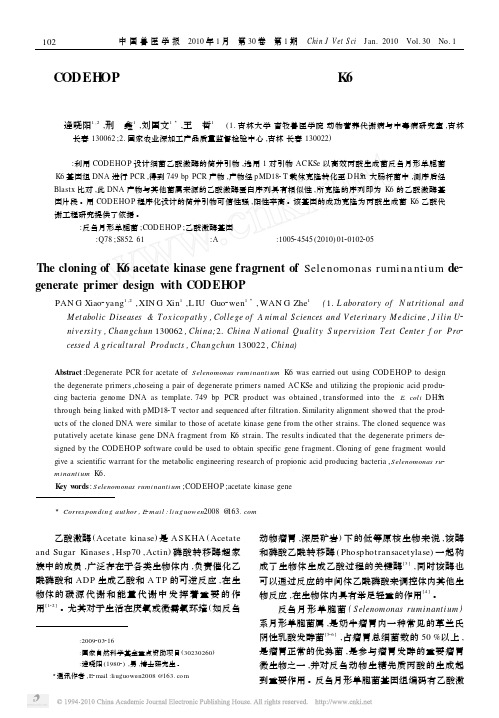 用CODEHOP设计简并引物克隆反刍月形单胞菌K6乙酸激酶基因片段