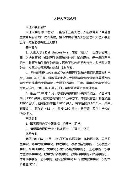 大理大学怎么样