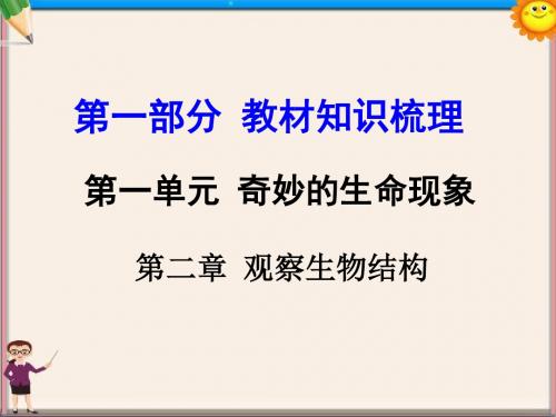 中考生物第一部分教材知识梳理第一单元第二章观察生物结构复习课件济南版