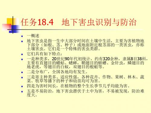 观赏植物病虫害识别与防治_地下害虫识别与防治