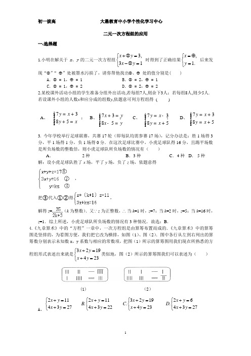 二元一次方程组的应用拔高个性化教案