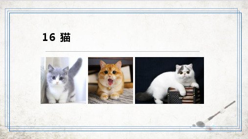 部编版七年级上册语文-猫精品课件