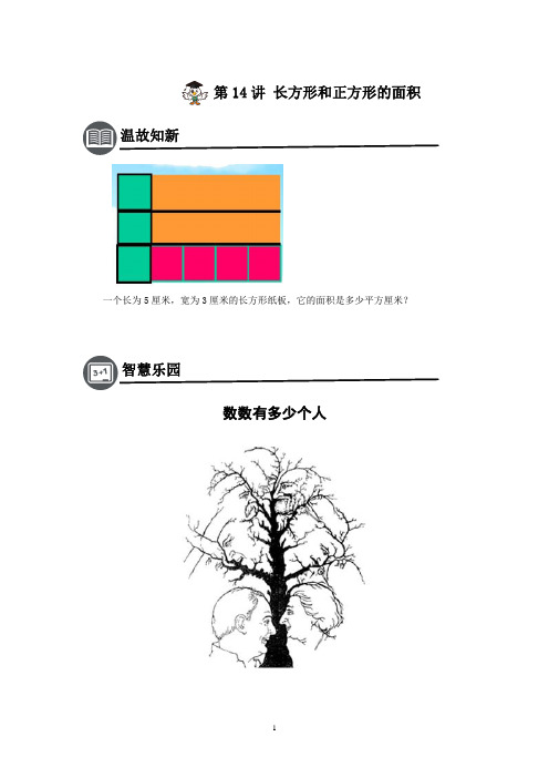 第14讲长方形与正方形面积学案