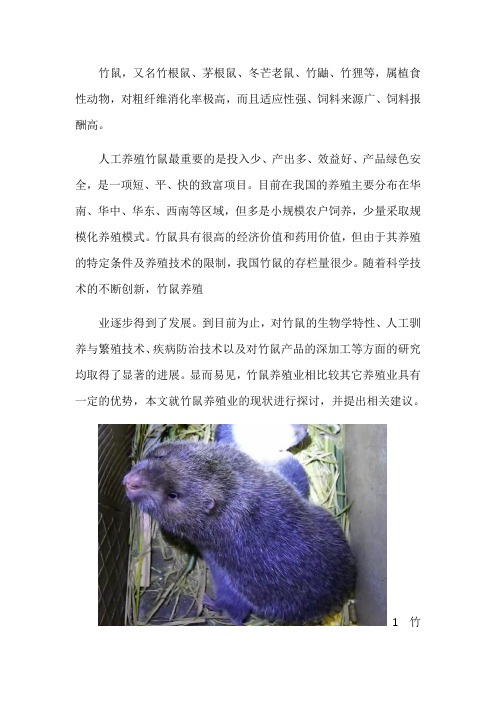 竹鼠养殖业现状