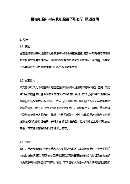 巨噬细胞和树突状细胞镜下形态学_概述说明