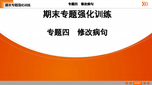 2020—2021学年部编版语文七年级下册专题训练  修改病句(共16张PPT)