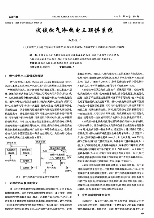 浅谈燃气冷热电三联供系统