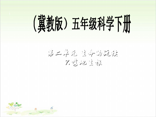 五年级下册科学-落地生根-冀教版(共20张)-PPT课堂课件