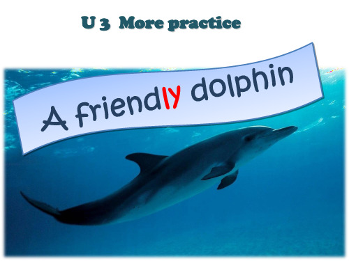 Unit 3 More practice  (a frendly dolphin)ppt课件