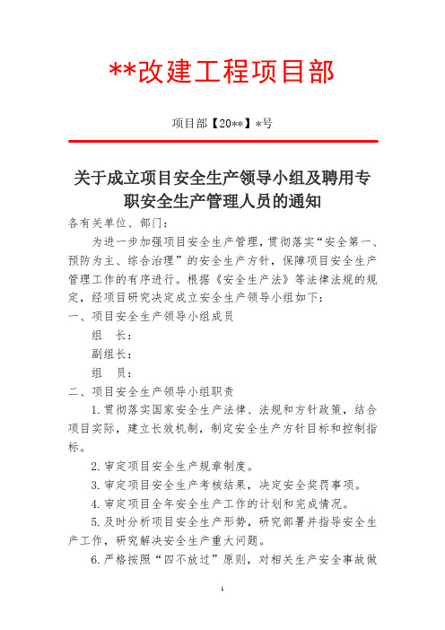 关于成立项目安全生产领导小组及聘用专职安全生产管理人员的通知