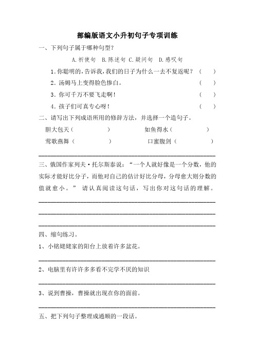 小升初句子专项训练(试题)部编版语文六年级下册