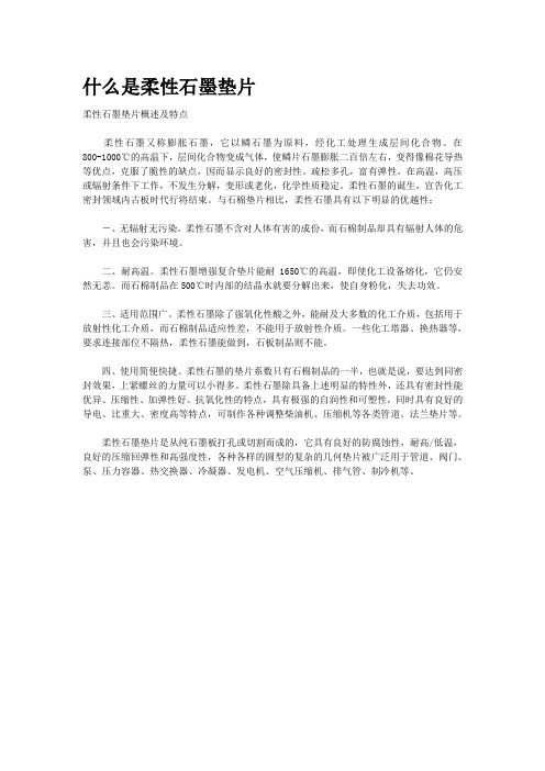 什么是柔性石墨垫片