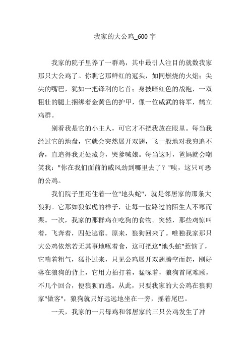 我家的大公鸡_600字