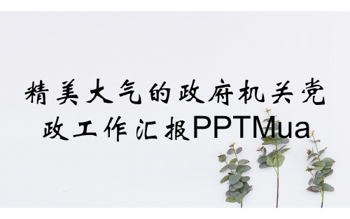 精美大气的政府机关党政工作汇报PPTMua