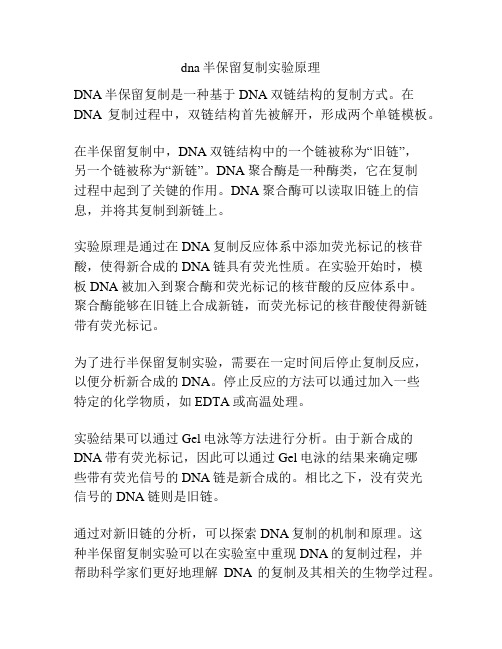 dna半保留复制实验原理