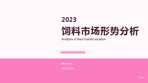 2023年我国饲料市场形势分析报告模板