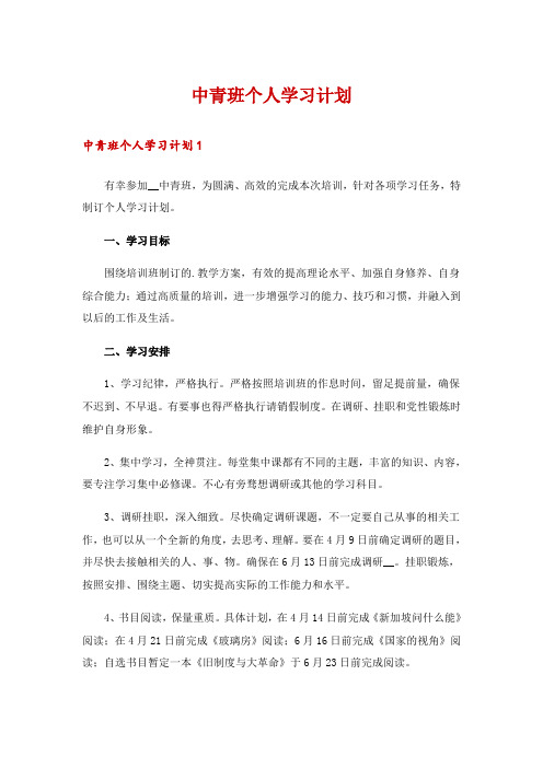 中青班个人学习计划