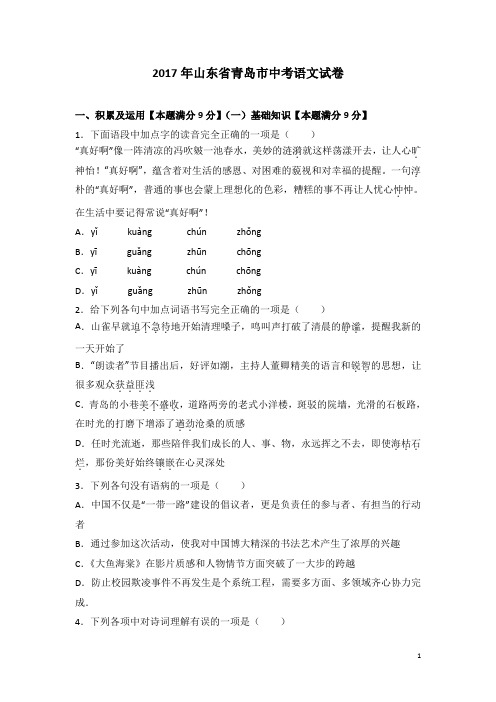 2017年全国各地中考语文试题之青岛市中考语文试题