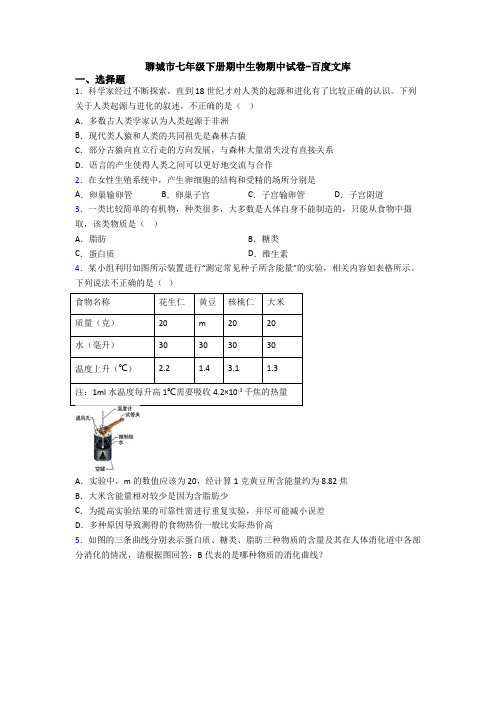 聊城市七年级下册期中生物期中试卷-百度文库