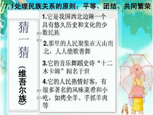 7.1 处理民族关系的原则