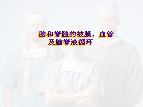 (医学课件)脑和脊髓的被膜