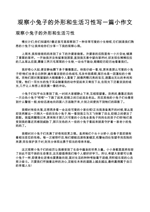 观察小兔子的外形和生活习性写一篇小作文