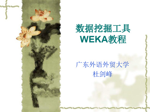 WEKA教程完整版新