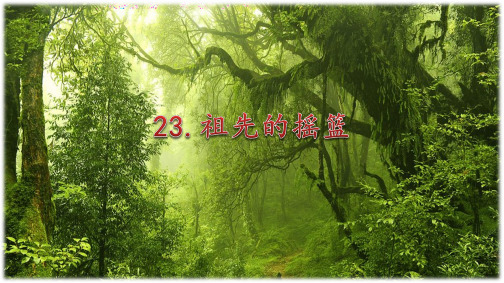 部编版语文二年级下册 第23课 祖先的摇篮 优秀课件