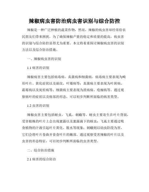 辣椒病虫害防治病虫害识别与综合防控