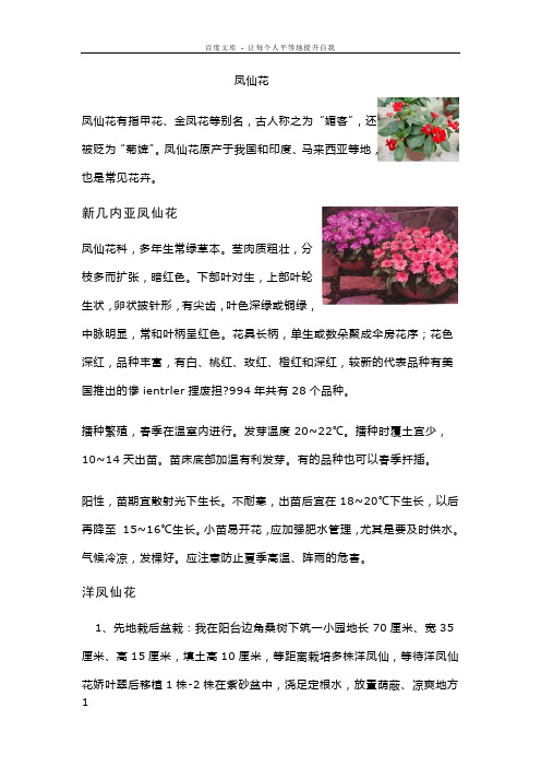 凤仙花的养殖技术课件