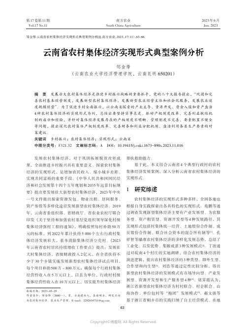 云南省农村集体经济实现形式典型案例分析