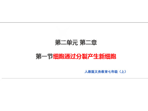 初中七年级上册生物《光合作用吸收二氧化碳释放氧气》课件