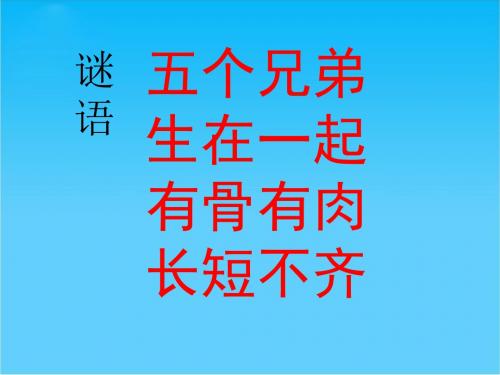 北师大版小学语文四年级下册《四 手 我们的手》优质课PPT课件_5