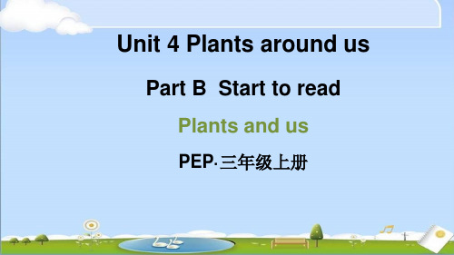 2024年新人教PEP版三年级上册英语教学课件 Unit 4 Part B 第4课时 