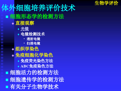 医疗器械工程导论5细胞毒性评价