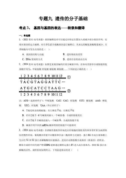 专题九 遗传的分子基础  考点3、基因与基因的表达—转录和翻译 考点4、表观遗传(含解析)