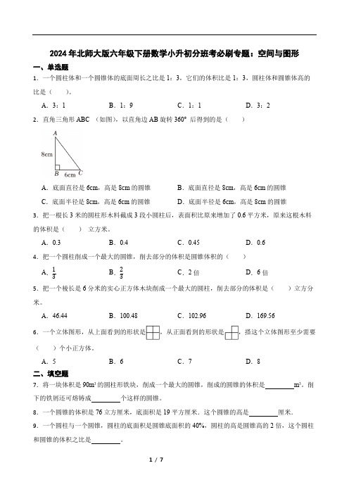 2024年北师大版六年级下册数学小升初分班考必刷专题：空间与图形