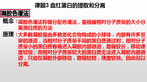 专题5课题3 血红蛋白的提取和分离-高二生物同步课件讲解(人教版选修1 )